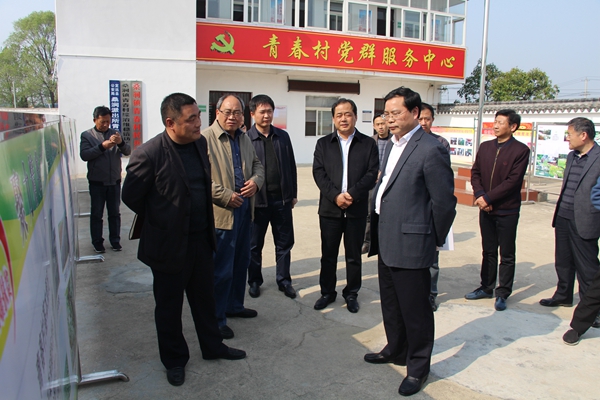 张东明调研.jpg