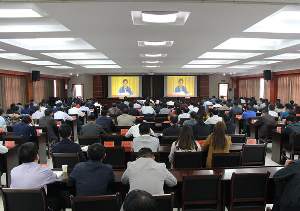 全省“两学一做”制度化常态化电视电话会议600.jpg