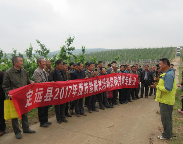 定远县2017年度就业技能脱贫培训（果树、蔬菜）专业实训课程顺利结束600.jpg