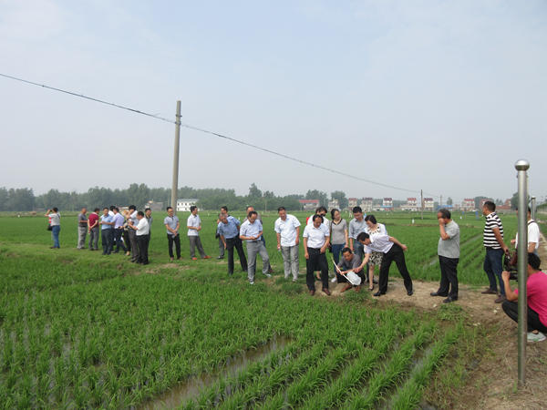 全省农作物重大害虫性诱防控观摩会在我县召开2_副本.jpg