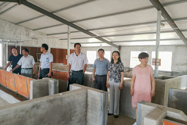 IMG_20170809_115119_副本.jpg IMG_20170809_115119_副本.jpg