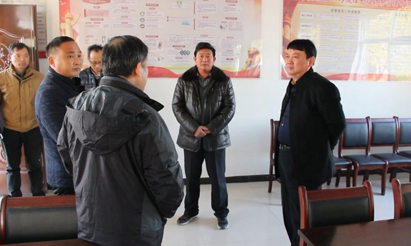 张子非深入乡镇调研指导基层党组织标准化建设工作.jpg