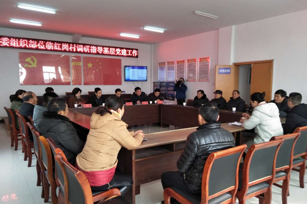 严桥红岗座谈会_副本.jpg