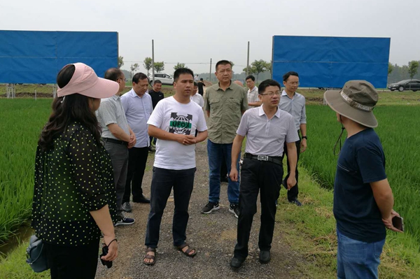 微信图片_20180704095932.jpg