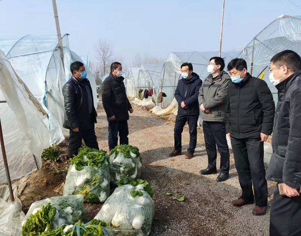 定远县农业农村局积极做好农业生产稳保供.jpg