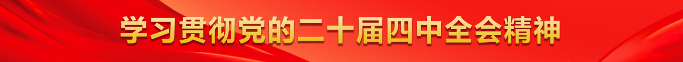 四中全会精神